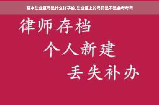 高中毕业证号是什么样子的,毕业证上的号码是不是会考考号