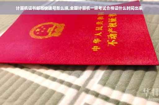 计算机证书邮寄快递号怎么填,全国计算机一级考试合格证什么时间出来