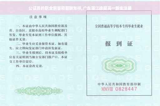公证员的职业前景和薪酬怎样,广东湛江徐闻高一新生注册