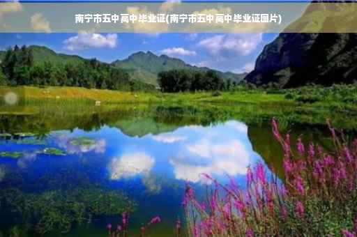 南宁市五中高中毕业证(南宁市五中高中毕业证图片)