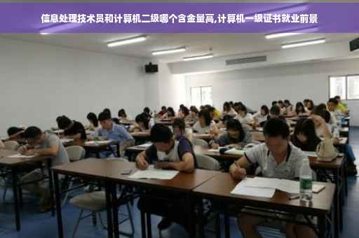 信息处理技术员和计算机二级哪个含金量高,计算机一级证书就业前景
