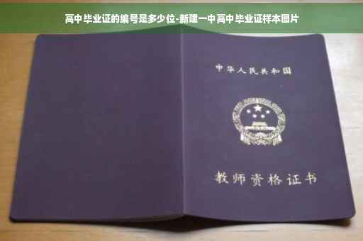 高中毕业证的编号是多少位-新建一中高中毕业证样本图片