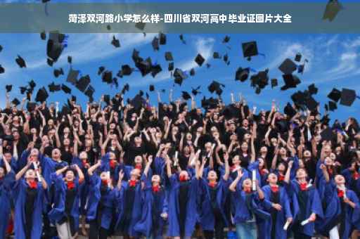菏泽双河路小学怎么样-四川省双河高中毕业证图片大全