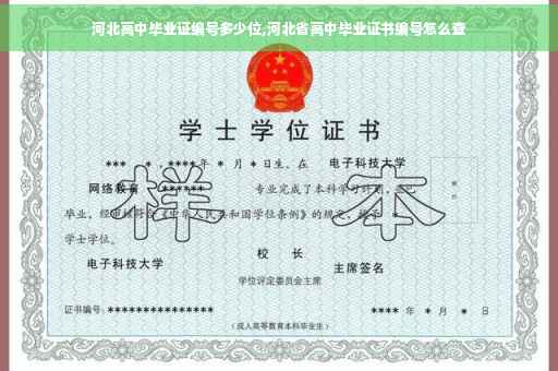 河北高中毕业证编号多少位,河北省高中毕业证书编号怎么查