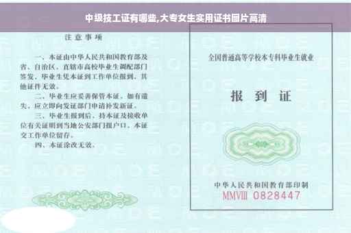 中级技工证有哪些,大专女生实用证书图片高清