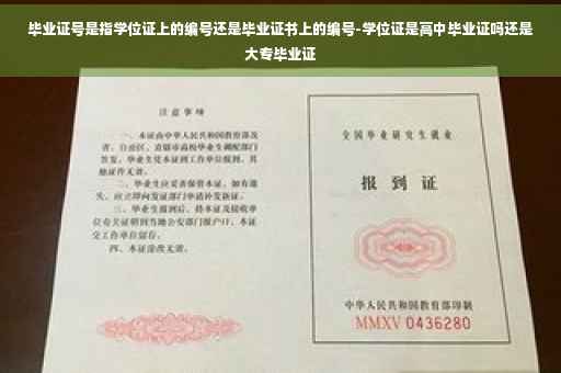 毕业证号是指学位证上的编号还是毕业证书上的编号-学位证是高中毕业证吗还是大专毕业证