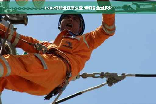 1987年毕业证怎么查,专科含金量多少