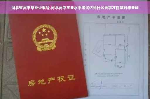 河北省高中毕业证编号,河北高中学业水平考试达到什么要求才能拿到毕业证
