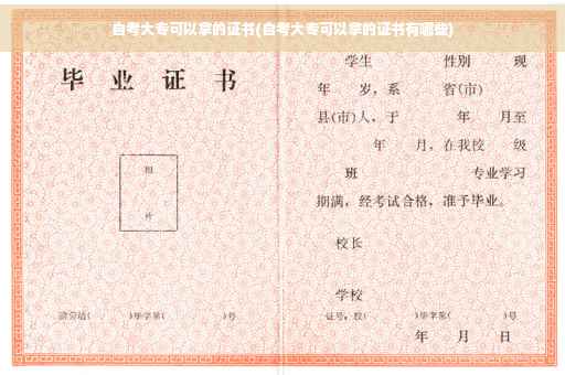 自考大专可以拿的证书(自考大专可以拿的证书有哪些)
