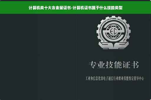 计算机类十大含金量证书-计算机证书属于什么技能类型
