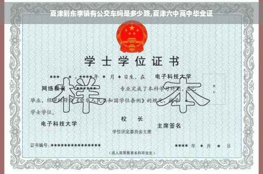 夏津到东李镇有公交车吗是多少路,夏津六中高中毕业证