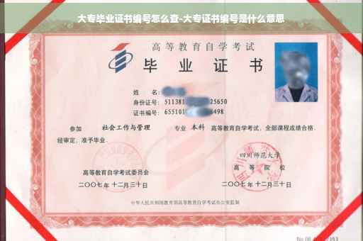 大专毕业证书编号怎么查-大专证书编号是什么意思