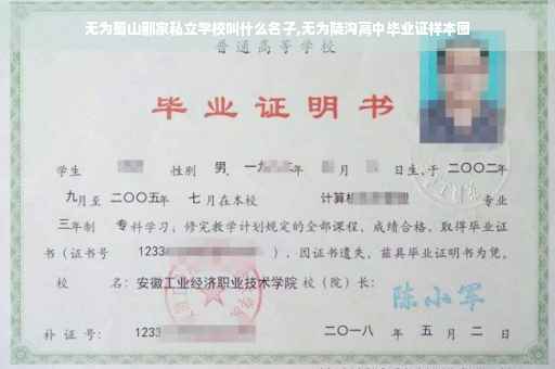 无为蜀山那家私立学校叫什么名子,无为陡沟高中毕业证样本图