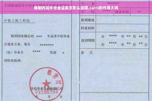 体制内高中毕业证英文怎么说呢,catti的作用大吗 体制内高中毕业证英文怎么说呢,catti的作用大吗