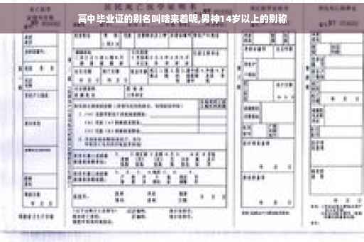 高中毕业证的别名叫啥来着呢,男神14岁以上的别称