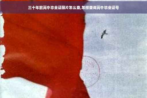 三十年前高中毕业证图片怎么查,怎样查询高中毕业证号