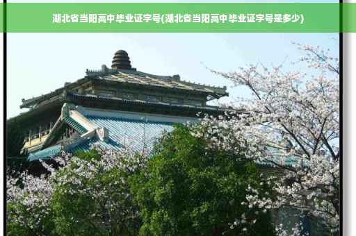 湖北省当阳高中毕业证字号(湖北省当阳高中毕业证字号是多少)