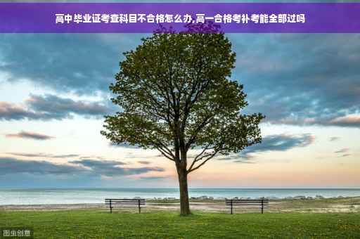 高中毕业证考查科目不合格怎么办,高一合格考补考能全部过吗