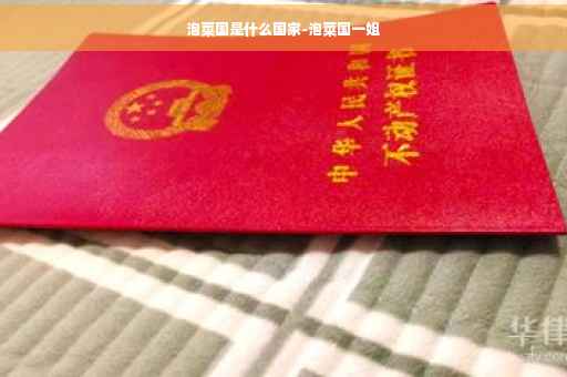 泡菜国是什么国家-泡菜国一姐