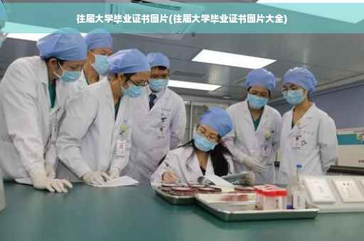 往届大学毕业证书图片(往届大学毕业证书图片大全)
