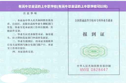 有高中毕业证的上中职学校(有高中毕业证的上中职学校可以吗)