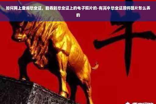 如何网上查询毕业证，能看到毕业证上的电子照片的-有高中毕业证原件图片怎么弄的
