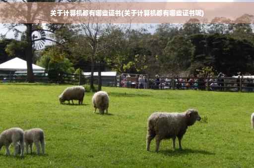 关于计算机都有哪些证书(关于计算机都有哪些证书呢)
