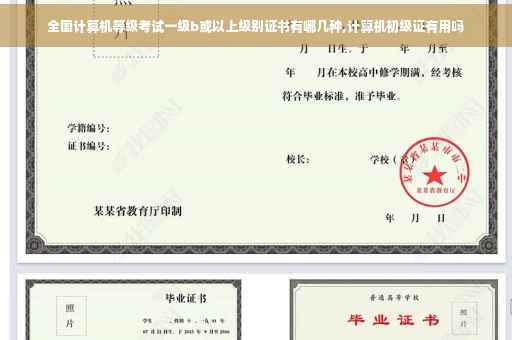 全国计算机等级考试一级b或以上级别证书有哪几种,计算机初级证有用吗