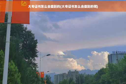 大专证书怎么去查到的(大专证书怎么去查到的呢)