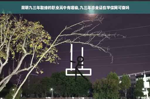 昆明九三年取缔的职业高中有哪些,九三年毕业证在学信网可查吗