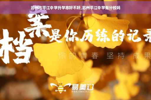 苏州市平江中学升学率好不好,苏州平江中学有分校吗