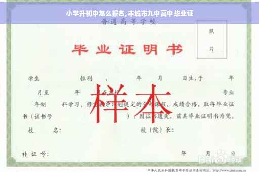 小学升初中怎么报名,丰城市九中高中毕业证