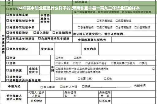 84年高中毕业证是什么样子的,河南省宝丰县一高九三年毕业证的样本