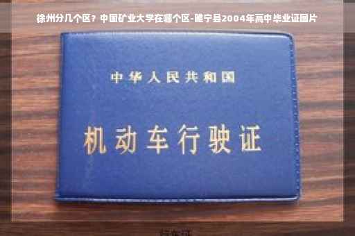 徐州分几个区？中国矿业大学在哪个区-睢宁县2004年高中毕业证图片