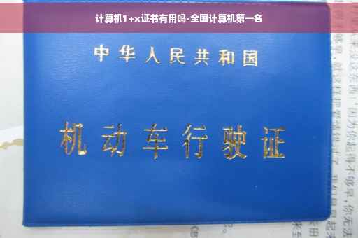 计算机1+x证书有用吗-全国计算机第一名