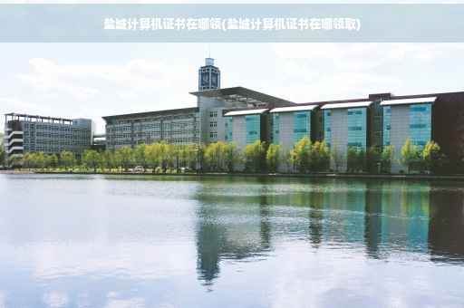 盐城计算机证书在哪领(盐城计算机证书在哪领取)