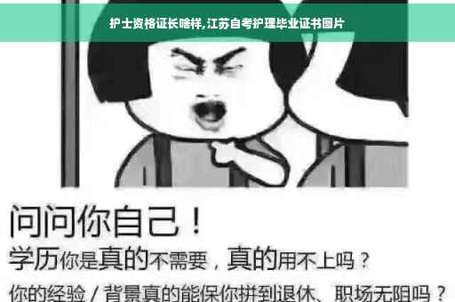 护士资格证长啥样,江苏自考护理毕业证书图片