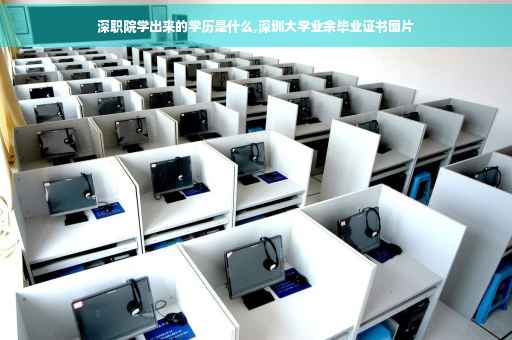 深职院学出来的学历是什么,深圳大学业余毕业证书图片 深职院学出来的学历是什么,深圳大学业余毕业证书图片