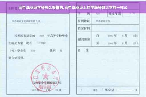 高中毕业证学号怎么编排的,高中毕业证上的学籍号和大学的一样么