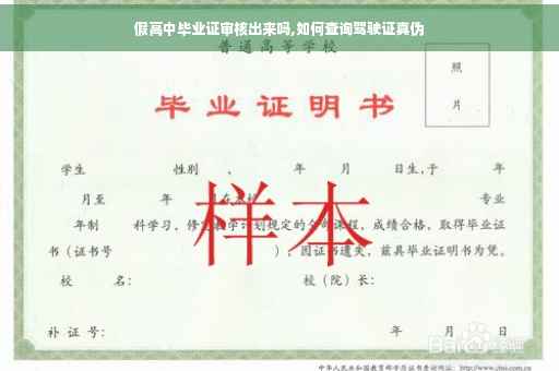假高中毕业证审核出来吗,如何查询驾驶证真伪
