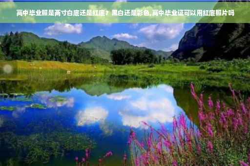 高中毕业照是两寸白底还是红底？黑白还是彩色,高中毕业证可以用红底照片吗