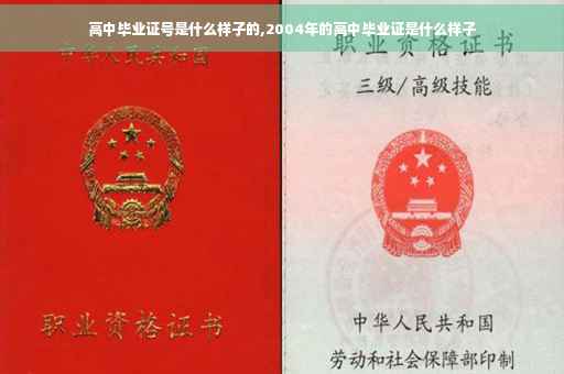 高中毕业证号是什么样子的,2004年的高中毕业证是什么样子 高中毕业证号是什么样子的,2004年的高中毕业证是什么样子