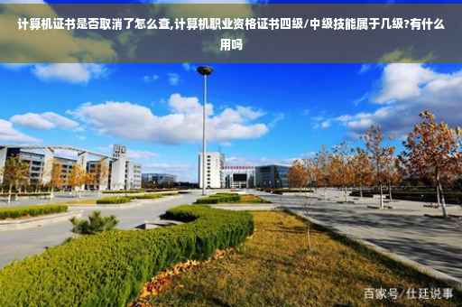 计算机证书是否取消了怎么查,计算机职业资格证书四级/中级技能属于几级?有什么用吗