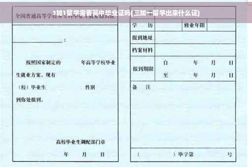 3加1留学需要高中毕业证吗(三加一留学出来什么证)