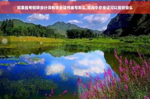 如果报考初级会计没有毕业证书编号怎么,没高中毕业证可以报初会么 如果报考初级会计没有毕业证书编号怎么,没高中毕业证可以报初会么