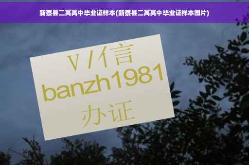 新蔡县二高高中毕业证样本(新蔡县二高高中毕业证样本图片)