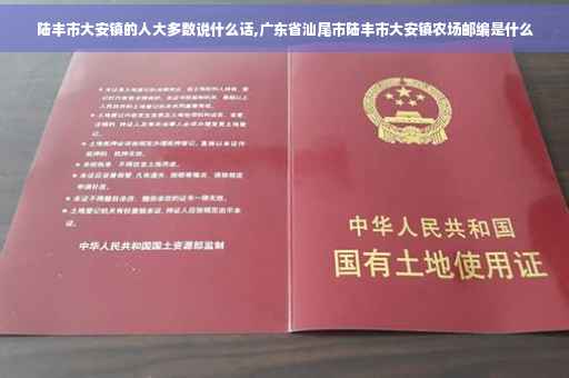 陆丰市大安镇的人大多数说什么话,广东省汕尾市陆丰市大安镇农场邮编是什么