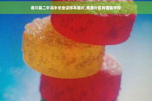 遂川县二中高中毕业证样本图片,南康片区有哪些学校