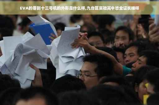 EVA的零到十三号机的外形是什么样,九台区实验高中毕业证长啥样