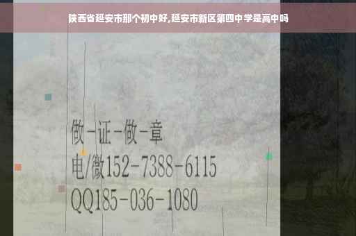 陕西省延安市那个初中好,延安市新区第四中学是高中吗
